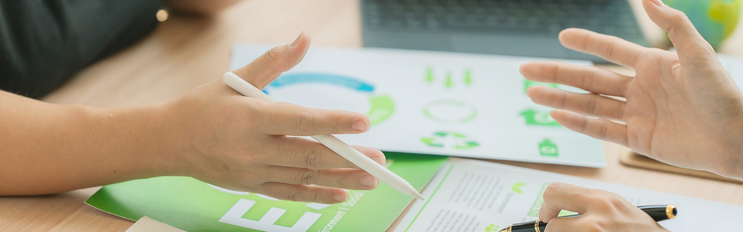 Sustainability Level 3 Certificate